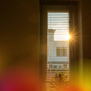 Morning light moment