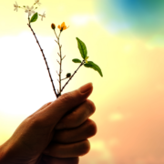 Give space after big ideas