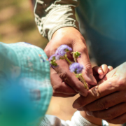 Use inclusive metaphors and language