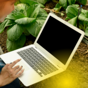 Schedule daily “no input” time