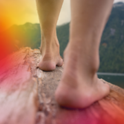 Spot the season your career is in