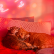 Scandinavian hygge pause